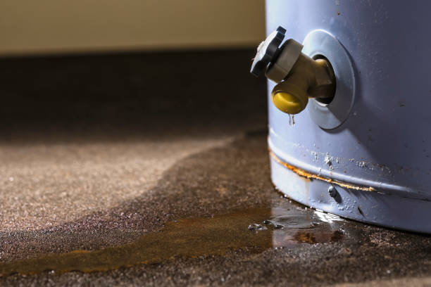 Best Commercial water damage restoration  in Warren, OH