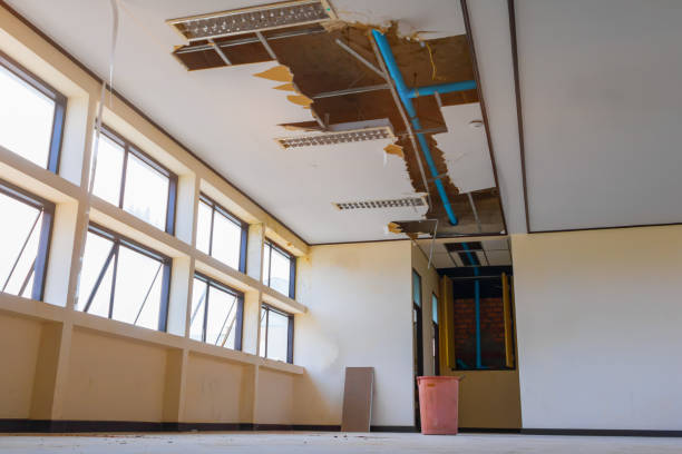 Best Water damage restoration near me  in Warren, OH