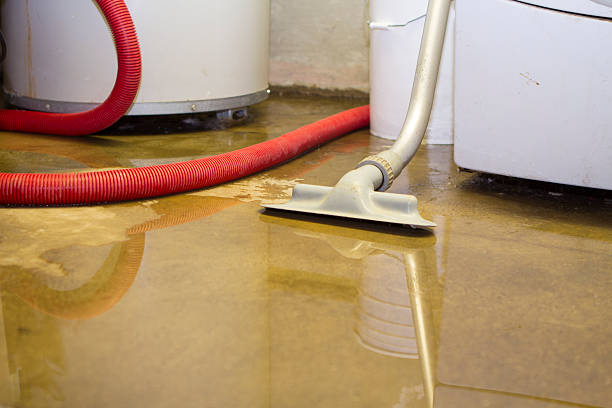 Best Sewage cleanup and water damage restoration  in Warren, OH