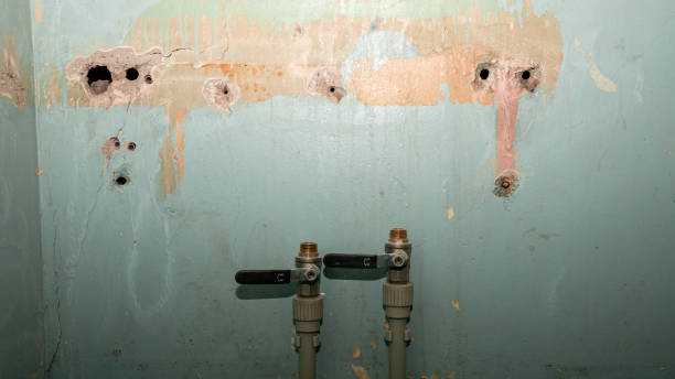 Best Flood damage cleanup  in Warren, OH