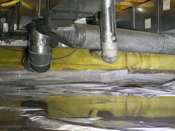 Best Water damage cleanup near me  in Warren, OH