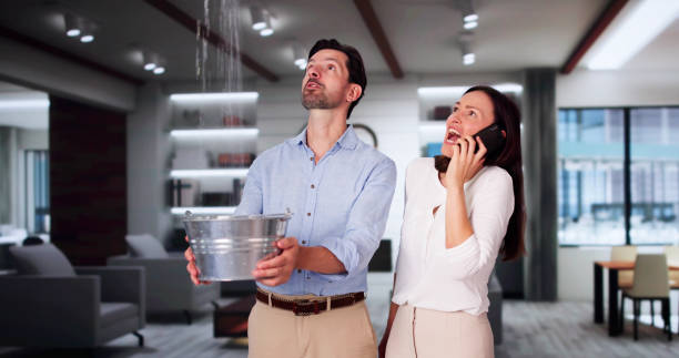 Best Fire Damage Restoration  in Warren, OH
